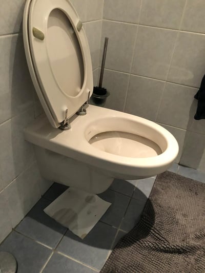 hangtoilet Zuidplas